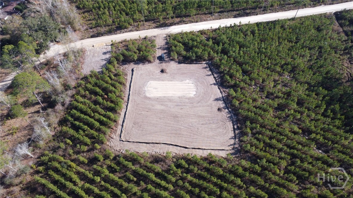 Tract #4 Bradwell Dunham Road Northeast Ludowici, GA 31316 - Photo 1 of 9