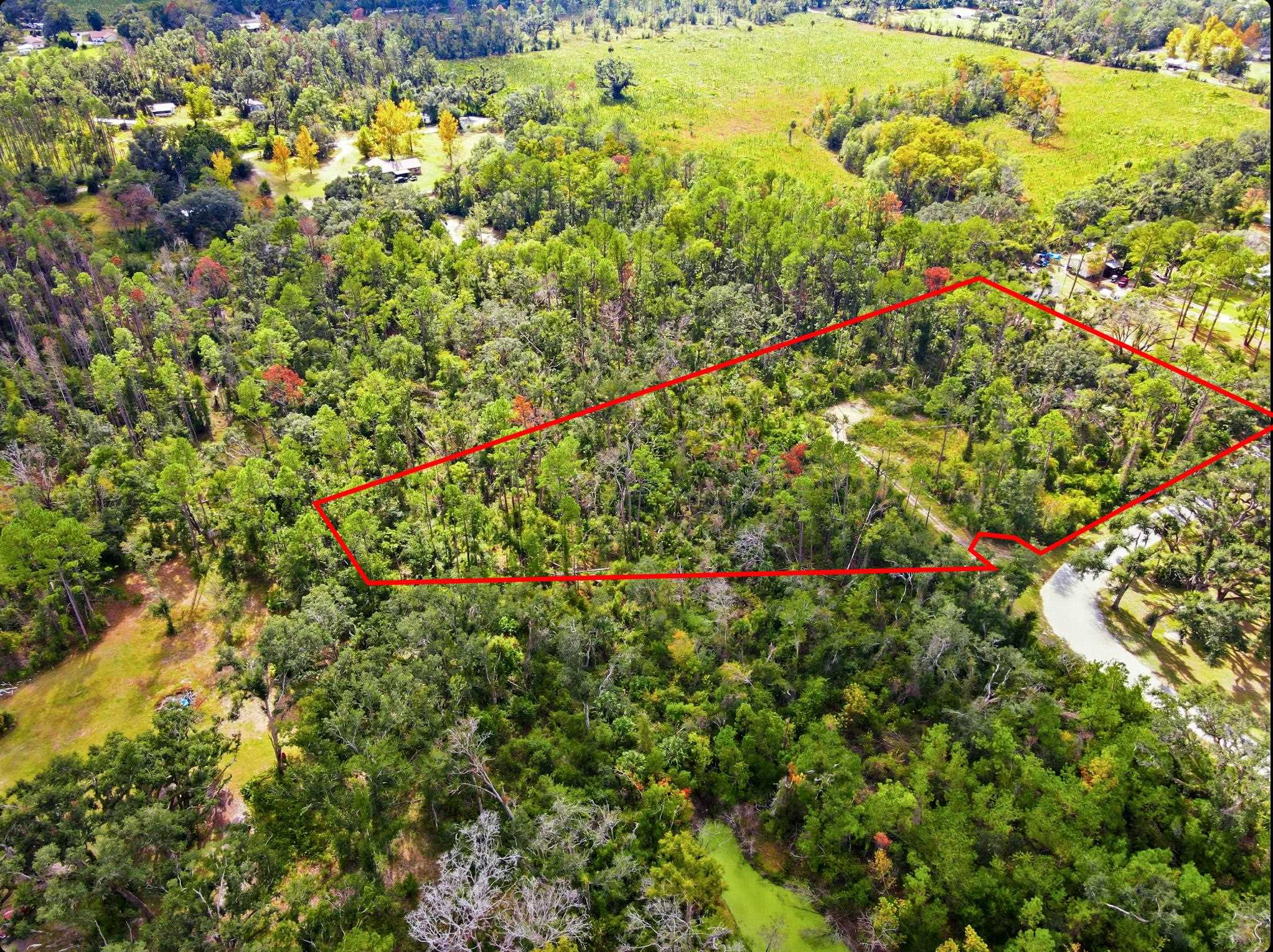 2709 Page Road Perry, FL 32347 - Photo 12 of 15