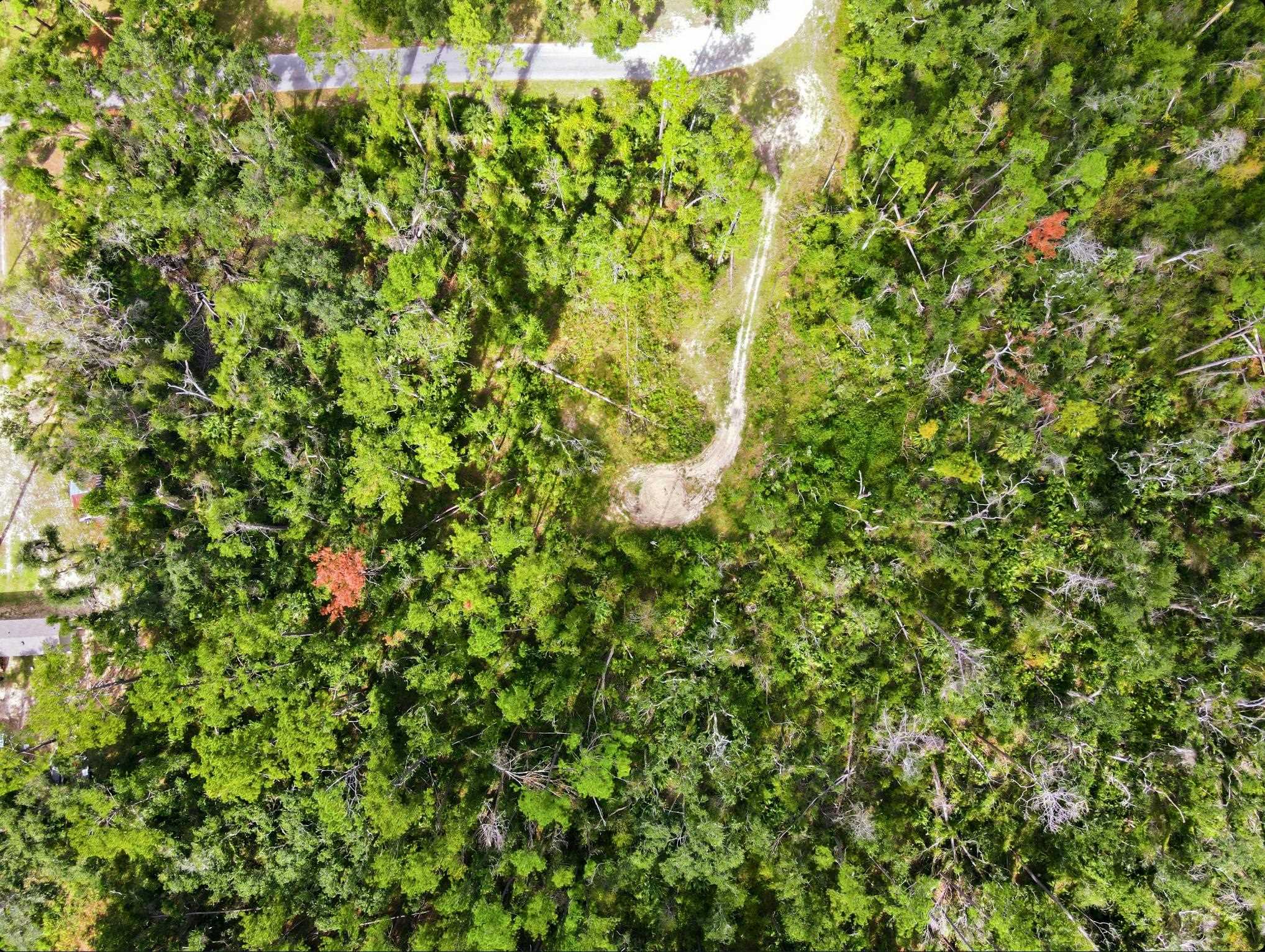 2709 Page Road Perry, FL 32347 - Photo 13 of 15