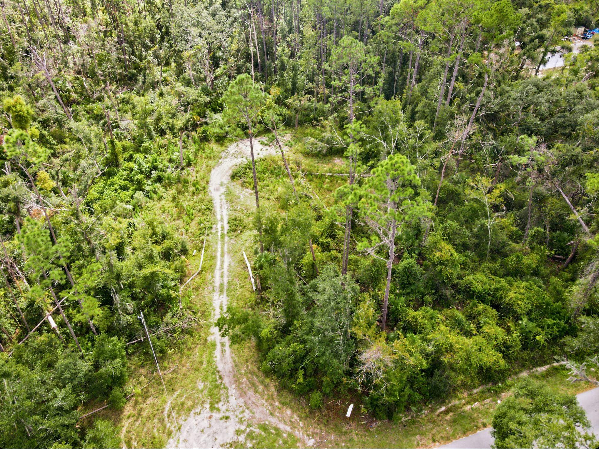 2709 Page Road Perry, FL 32347 - Photo 14 of 15