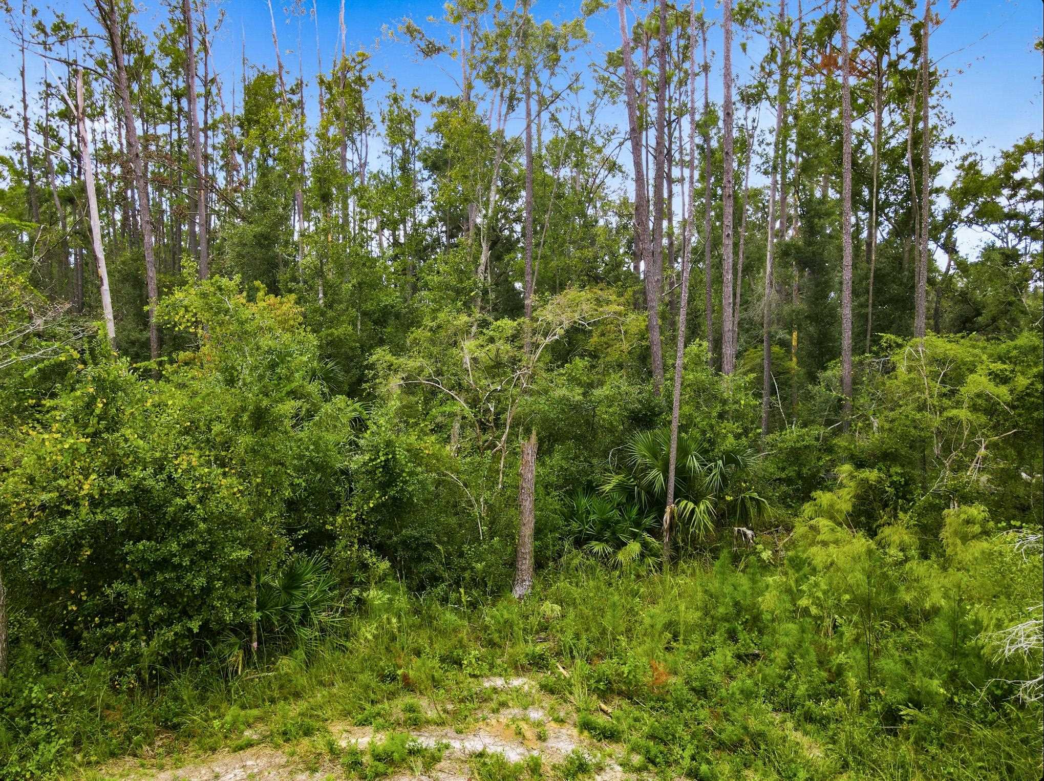 2709 Page Road Perry, FL 32347 - Photo 15 of 15