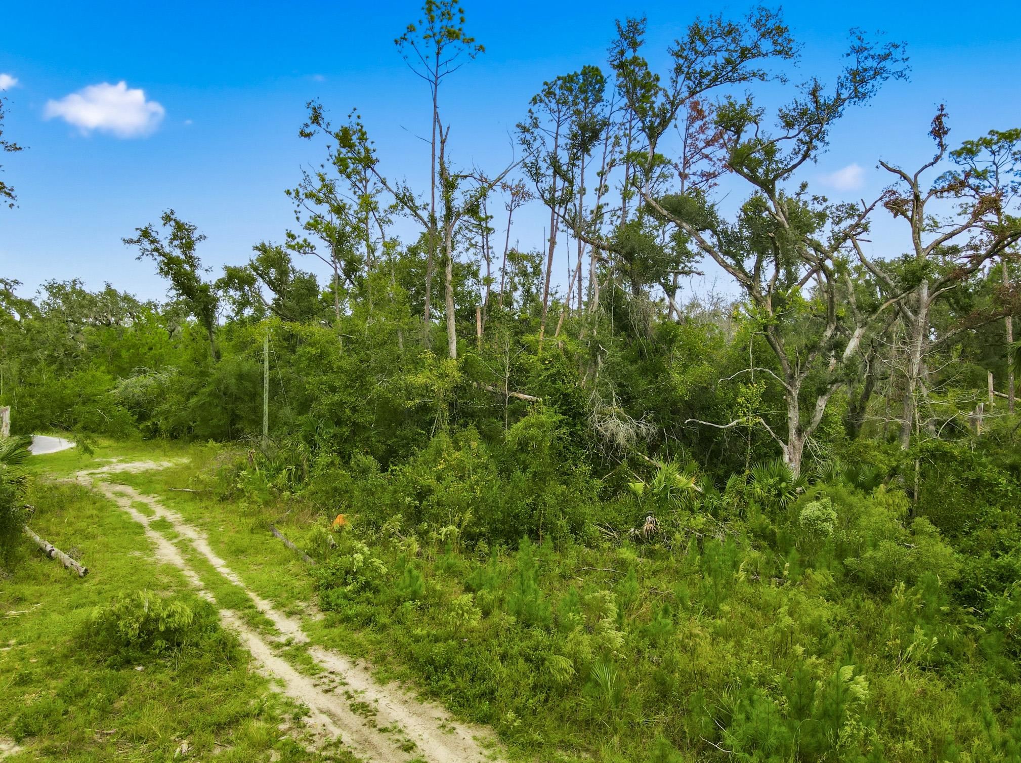 2709 Page Road Perry, FL 32347 - Photo 2 of 15