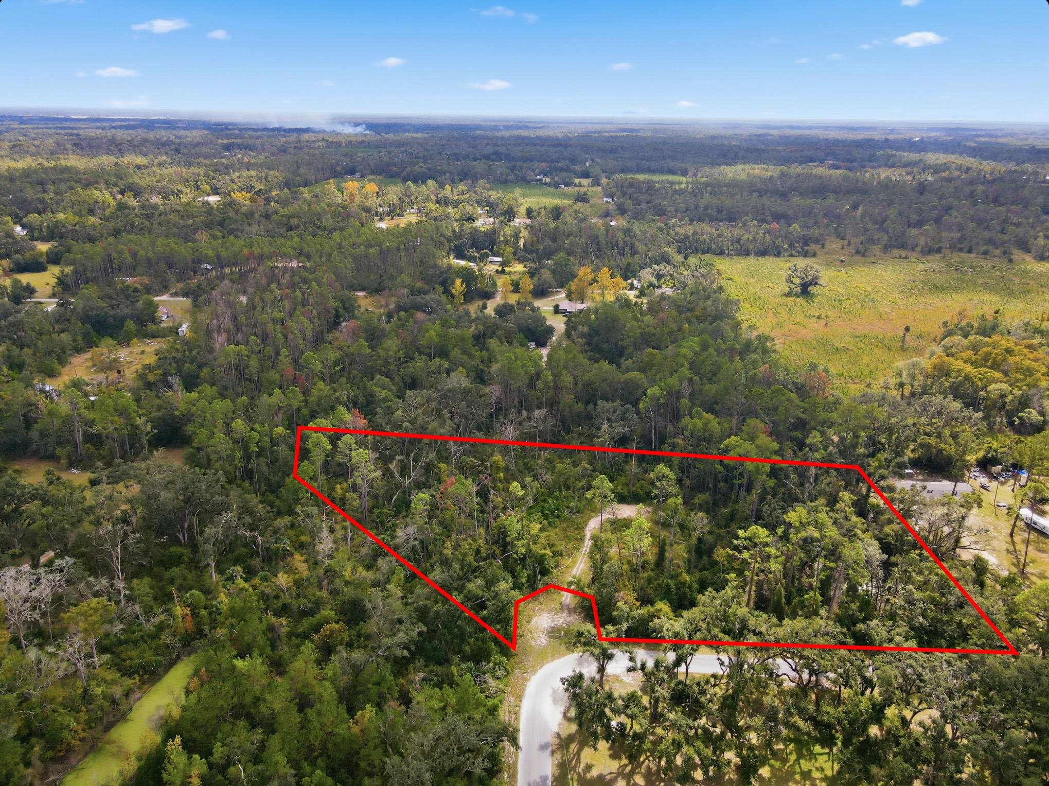 2709 Page Road Perry, FL 32347 - Photo 4 of 15