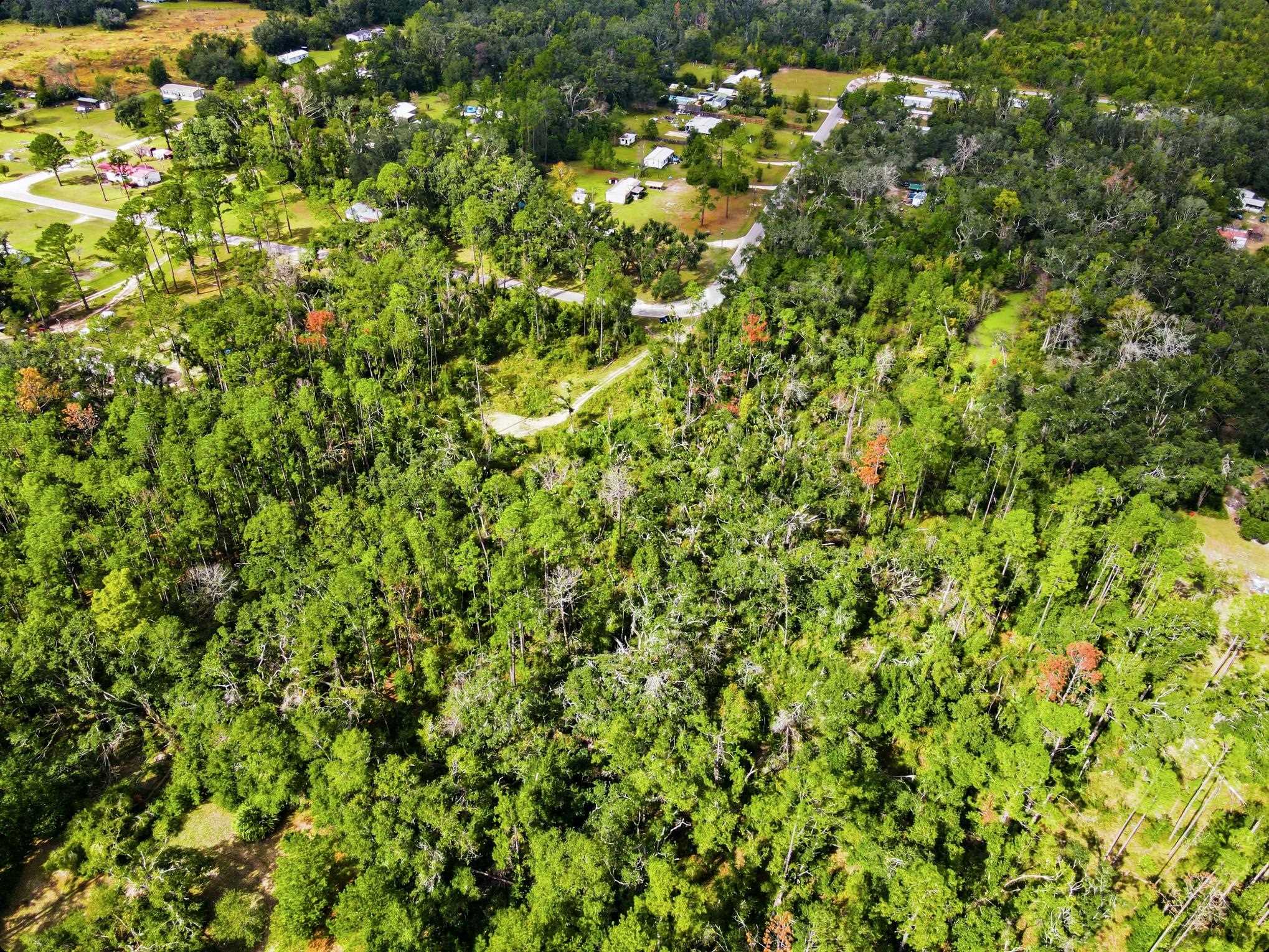 2709 Page Road Perry, FL 32347 - Photo 7 of 15