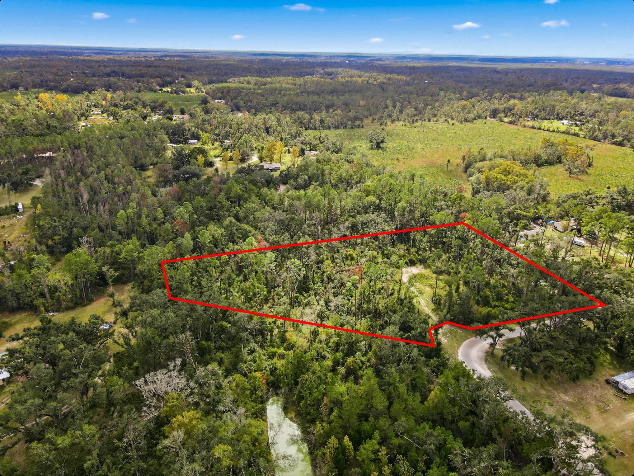 2709 Page Road Perry, FL 32347 - Photo 8 of 15