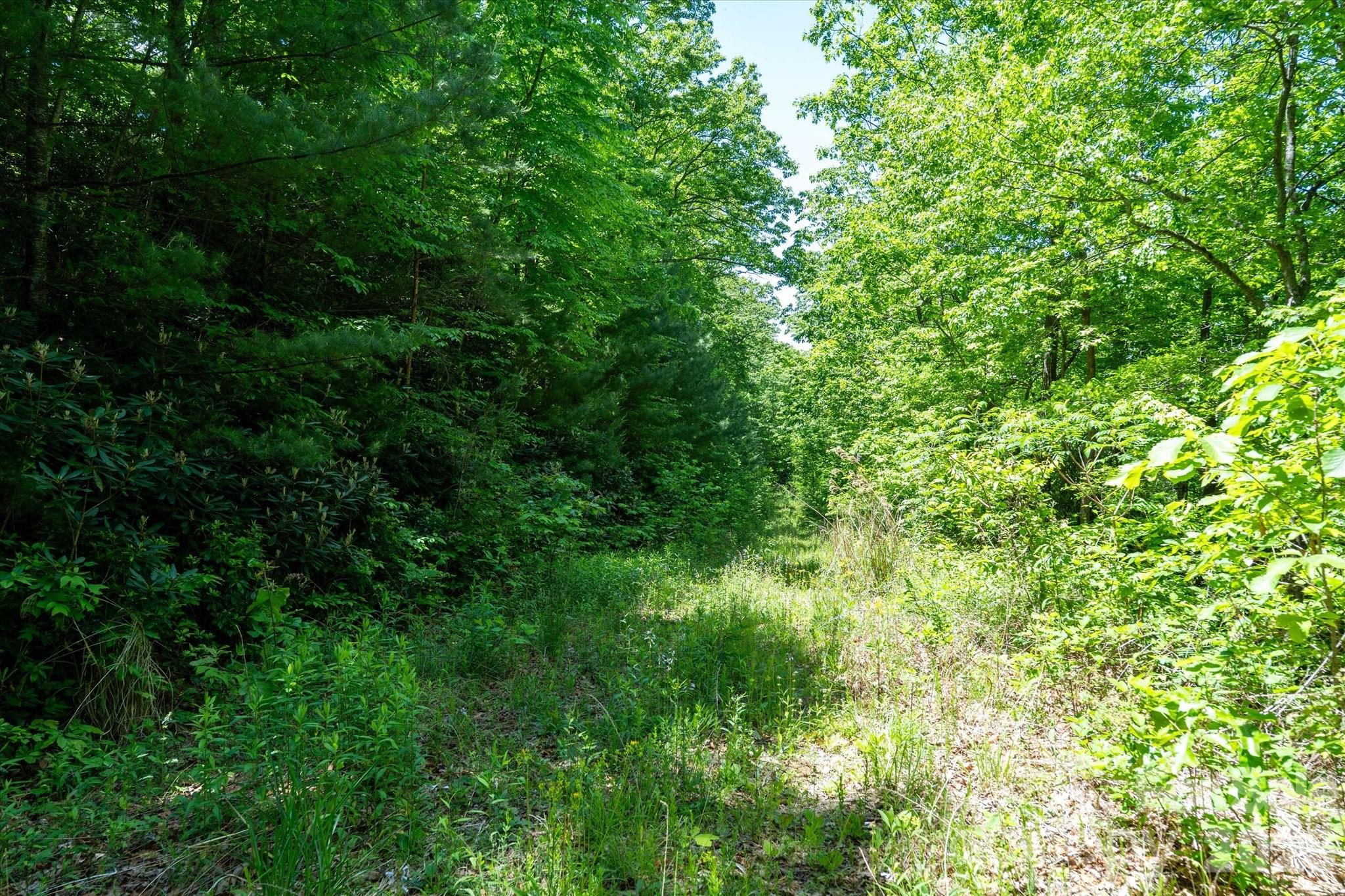 99999 Winding Ridge Road Fairview, NC 28730 - Photo 10 of 15