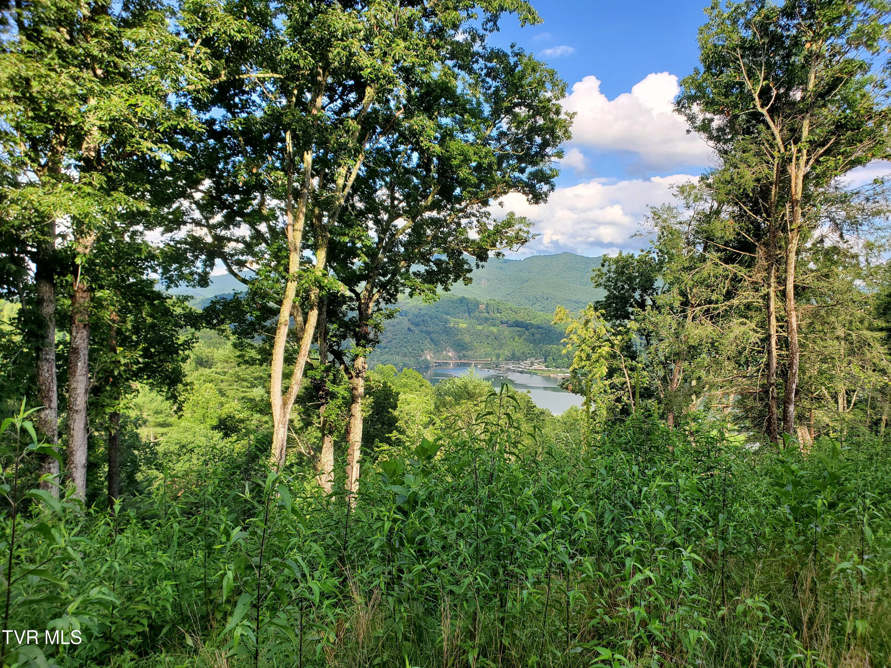 Lot 16 Tuscanee Lane Butler, TN 37640 - Photo 11 of 14 20250716_182115