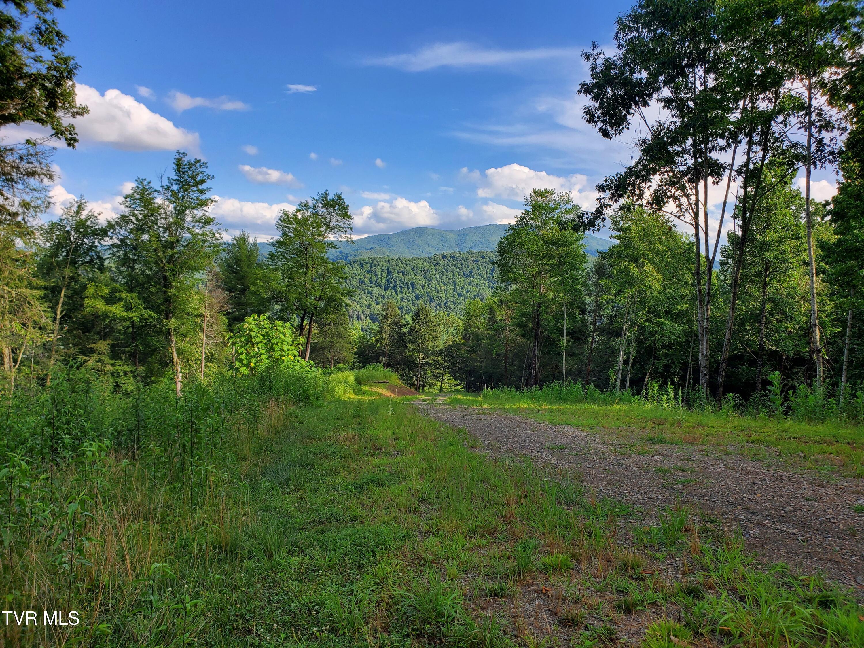Lot 16 Tuscanee Lane Butler, TN 37640 - Photo 12 of 14 20250716_182132