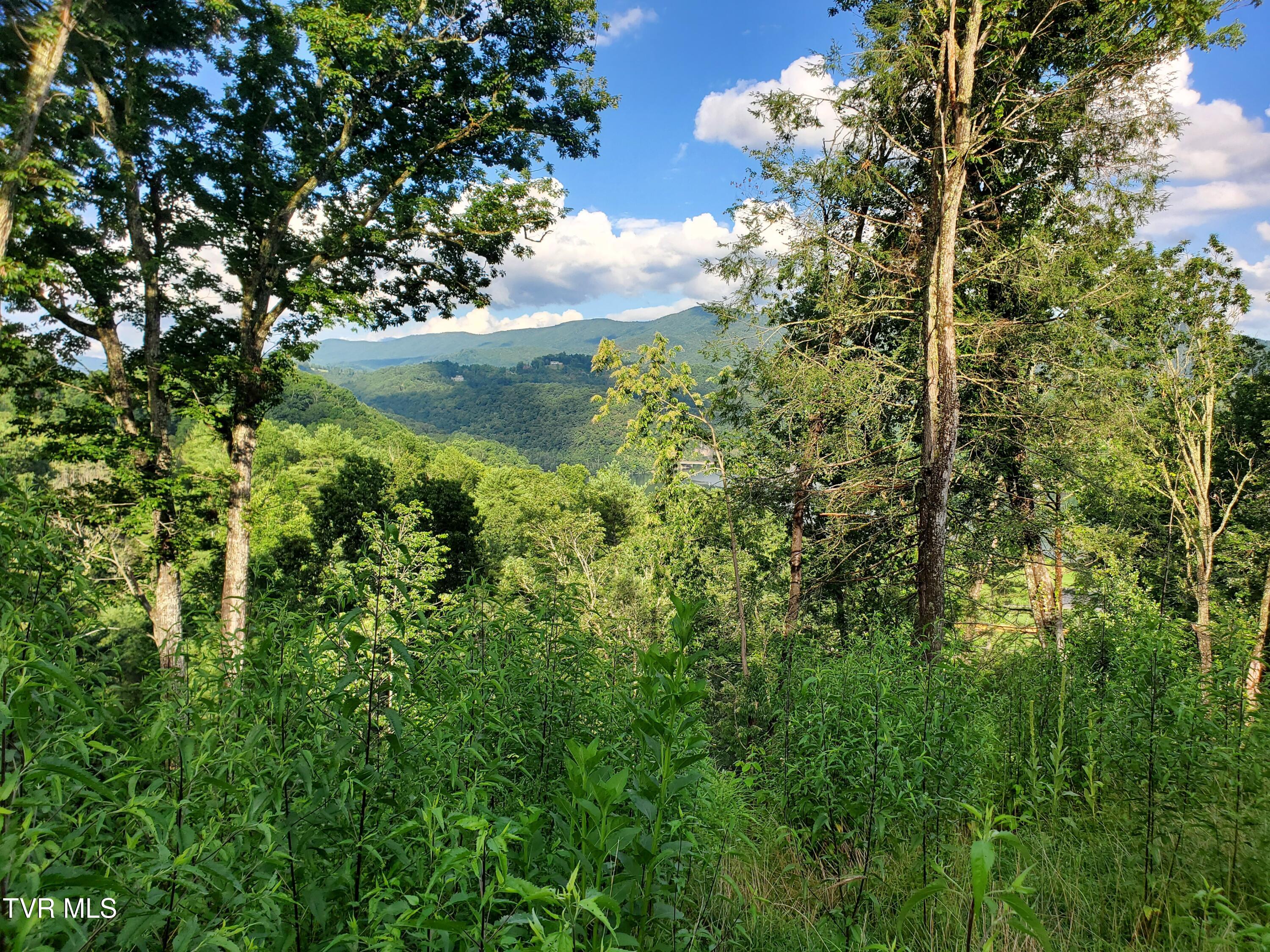 Lot 16 Tuscanee Lane Butler, TN 37640 - Photo 13 of 14 20250716_182211