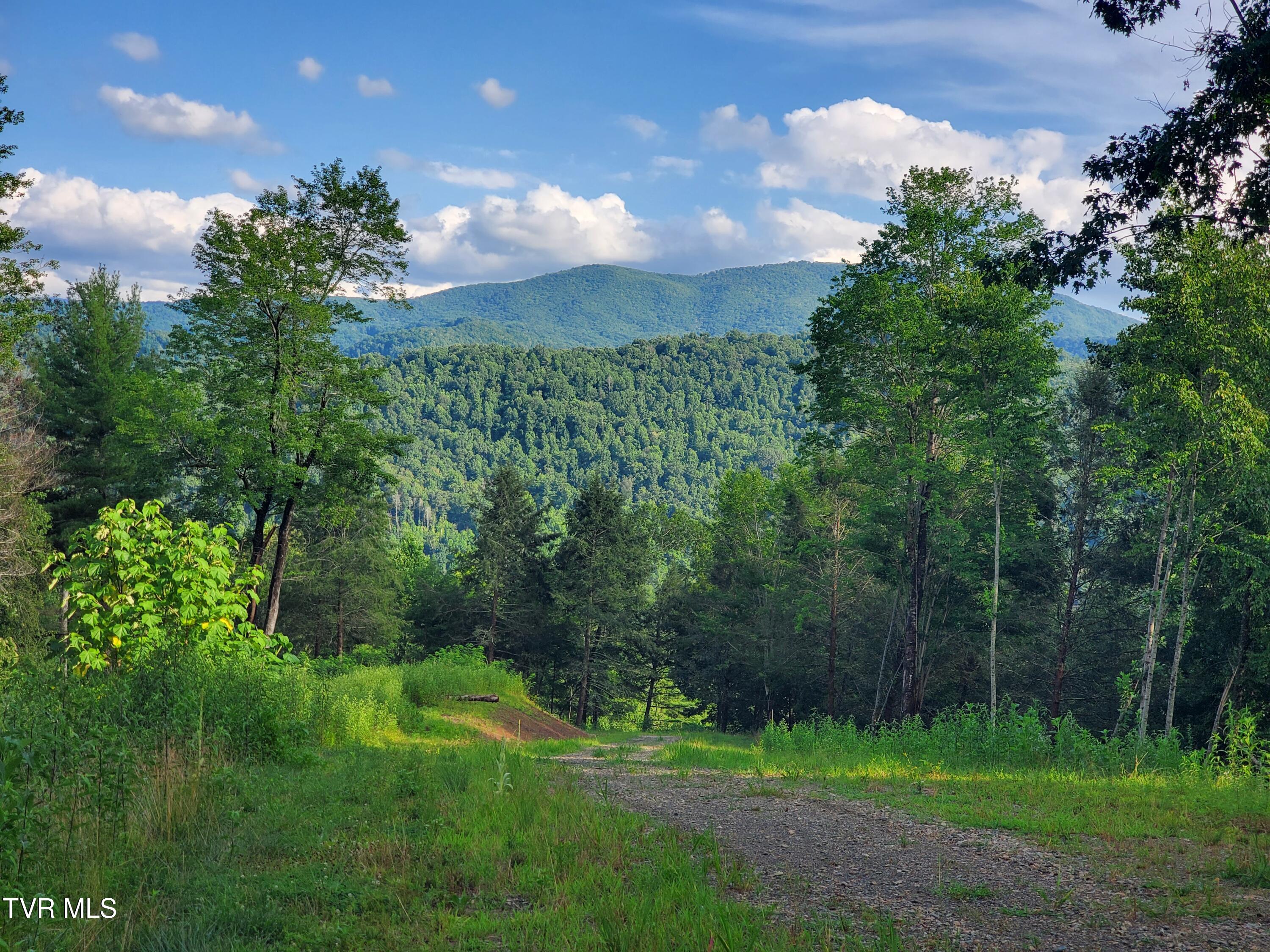 Lot 16 Tuscanee Lane Butler, TN 37640 - Photo 4 of 14 20250716_182127