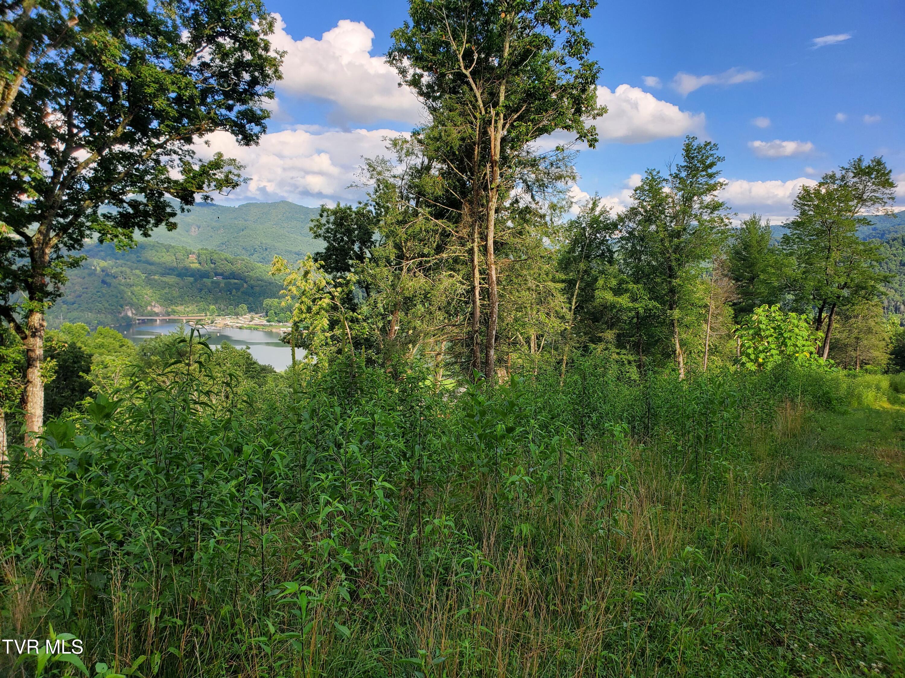 Lot 16 Tuscanee Lane Butler, TN 37640 - Photo 5 of 14 20250716_182137