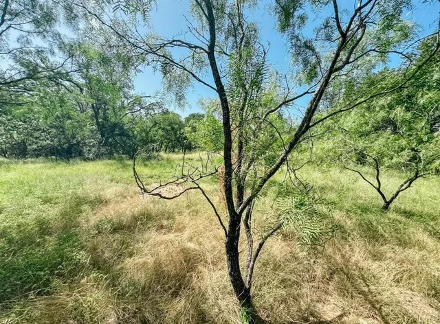 a view of a yard with basketball court
