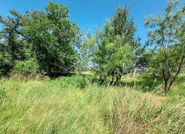 a view of a lush green space