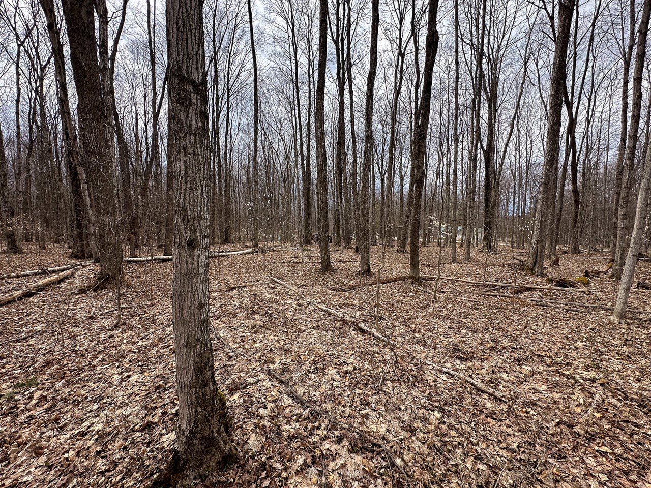 5 V/l Covert Road Mancelona, MI 49659 - Photo 12 of 20 Gallery Image 12
