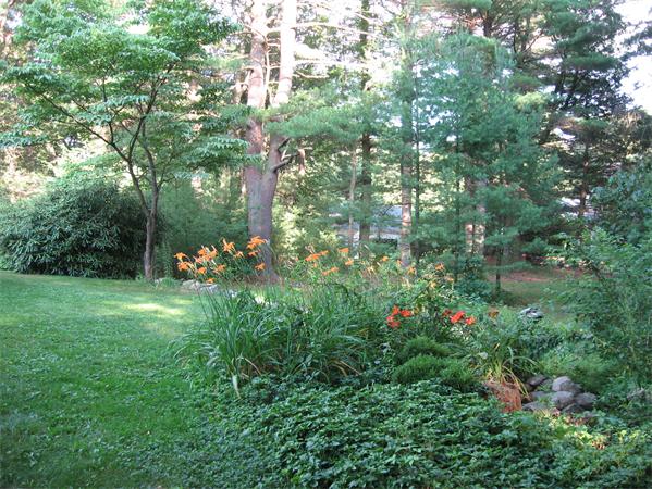 50 Wilson Road Bedford, MA 01730 - Photo 15 of 15 Gallery Image 15