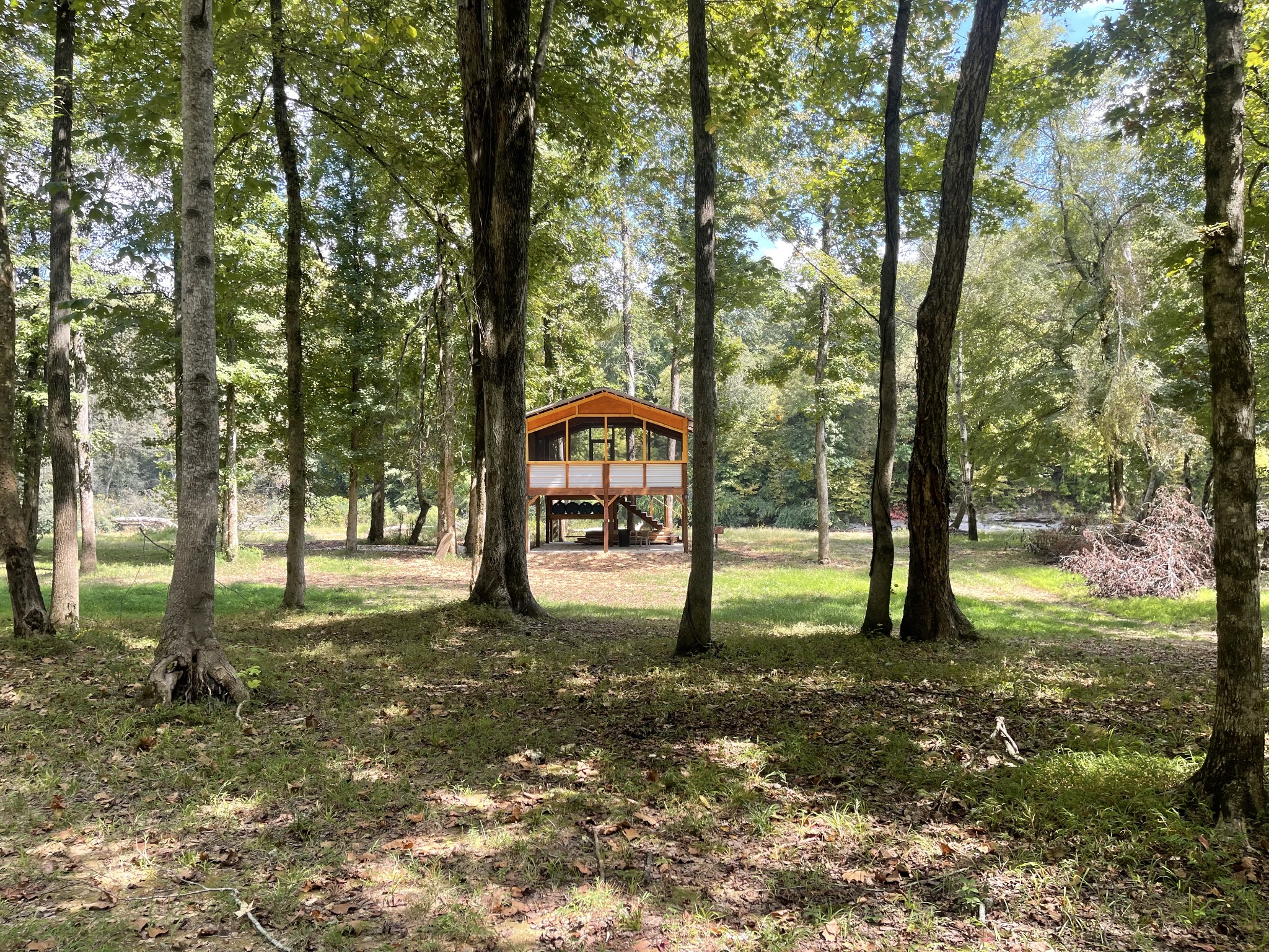 202 Beaver Br Road Westpoint, TN 38486 - Photo 5 of 17 a backyard of a house with lots of green space