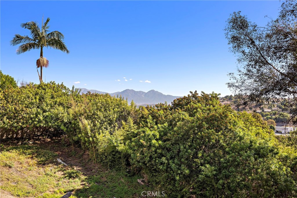 2000 Shaded Wood Road Diamond Bar, CA 91765 - Photo 30 of 31 Gallery Image 30