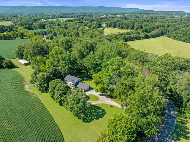 a view of a lush green space with sea