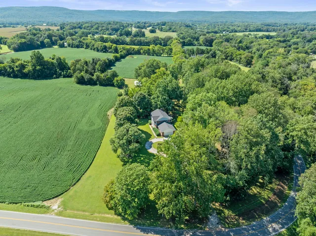 an aerial view of residential houses with outdoor space and trees