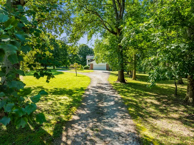 a view of a swimming pool with a yard