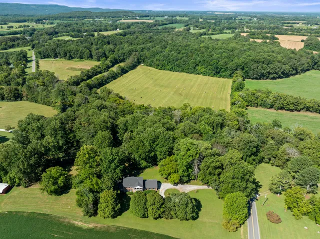a view of a lush green outdoor space with a lake view