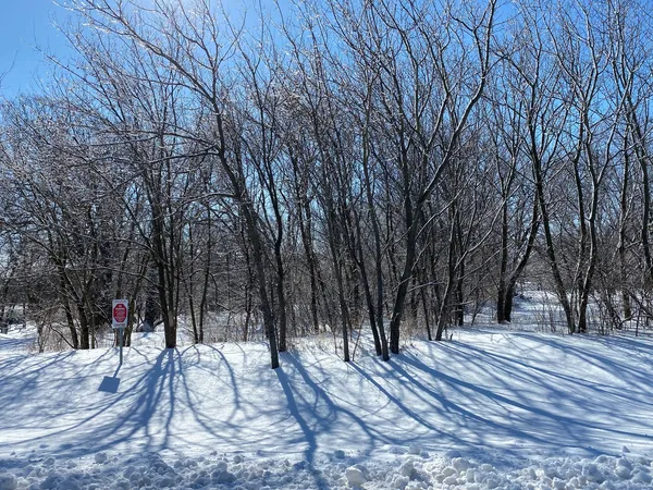 $158,000 | Lot 15 Campton Meadows Drive, Elburn, IL 60119