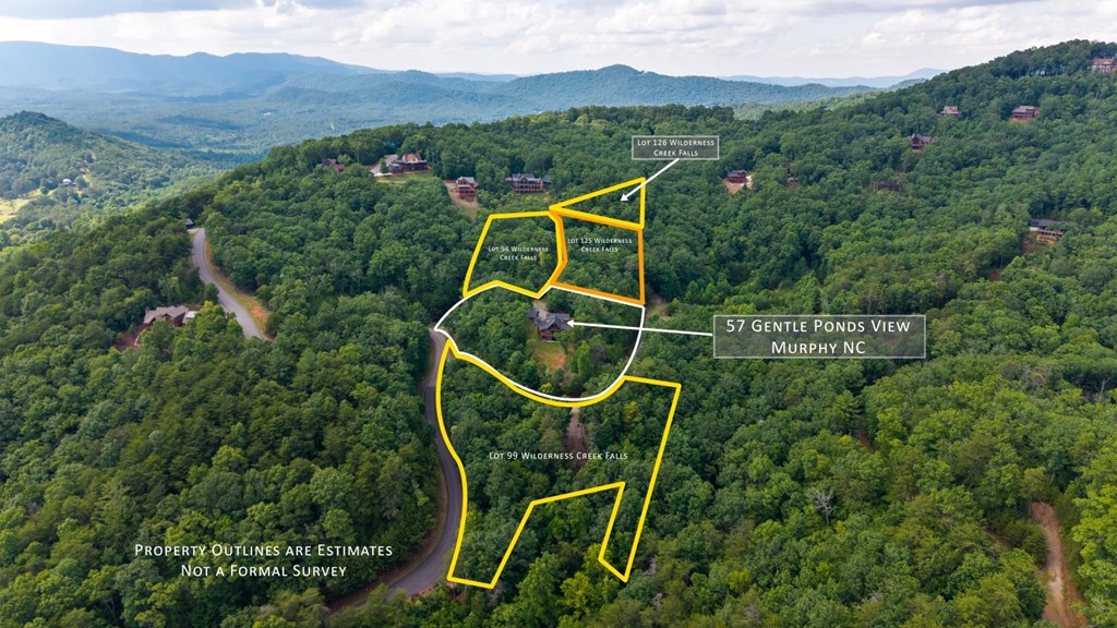 57 Gentle Ponds View Murphy, NC 28906 - Photo 4 of 61