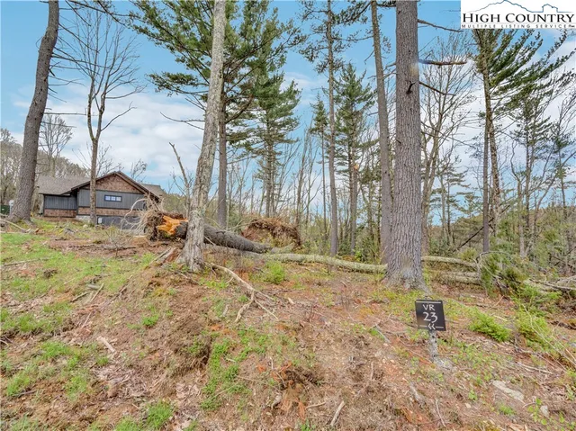 a view of backyard of the house