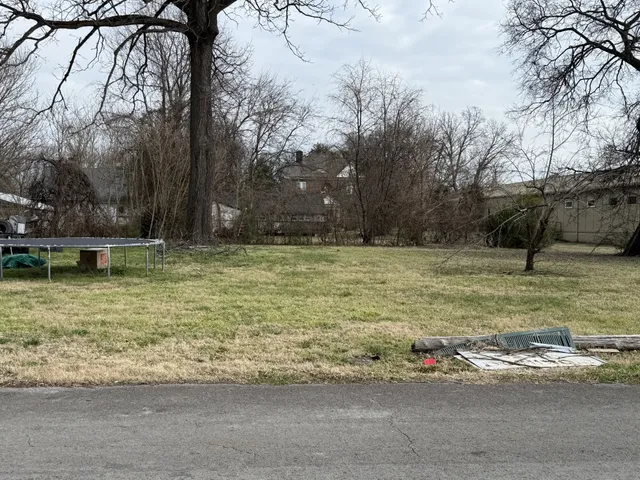 a view of a garden with a bench