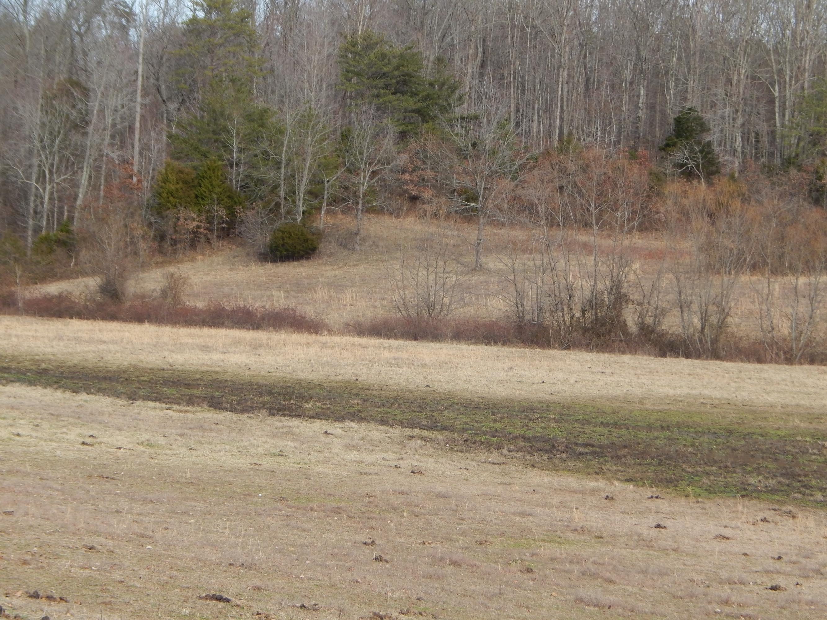Toy Slatten Road Sparta, TN 38583 - Photo 4 of 10 DSCN0379