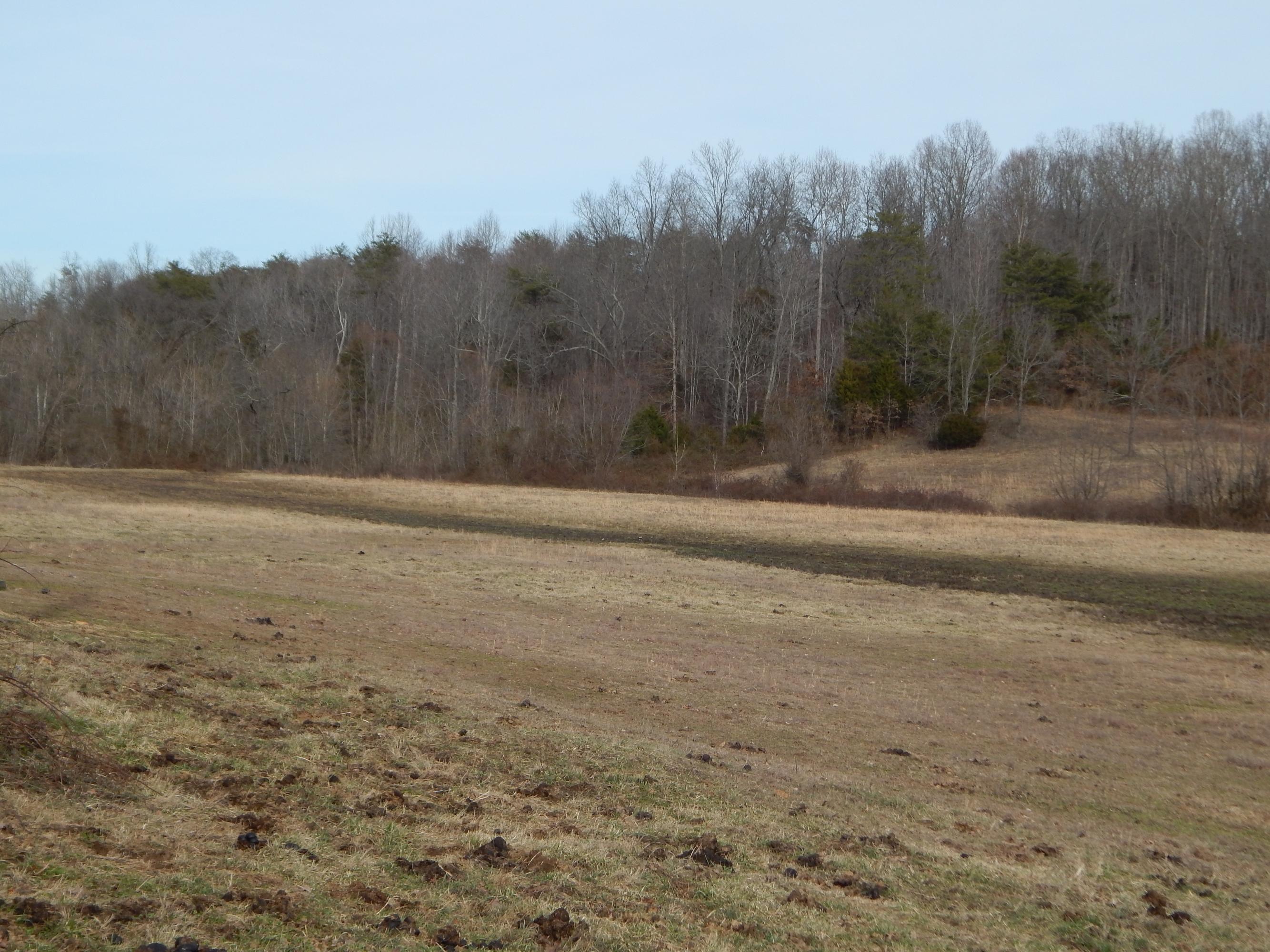 Toy Slatten Road Sparta, TN 38583 - Photo 5 of 10 DSCN0380