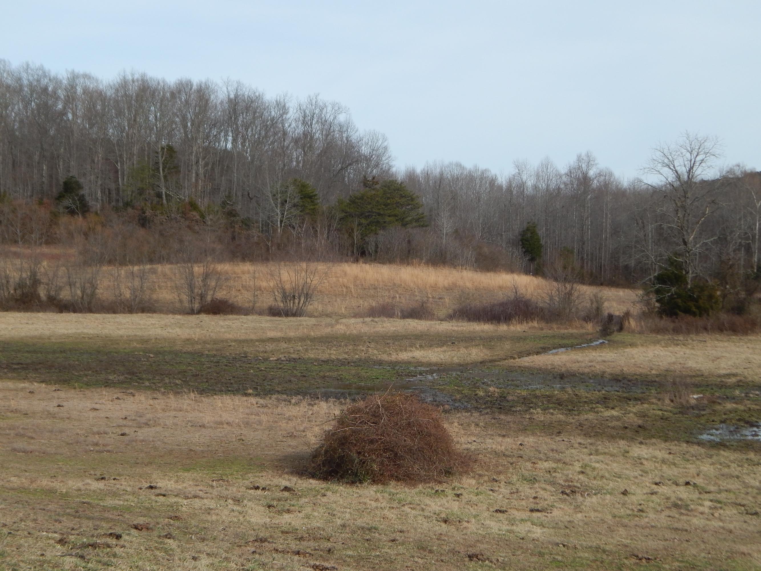 Toy Slatten Road Sparta, TN 38583 - Photo 6 of 10 ROOM FOR YOUR HORSES