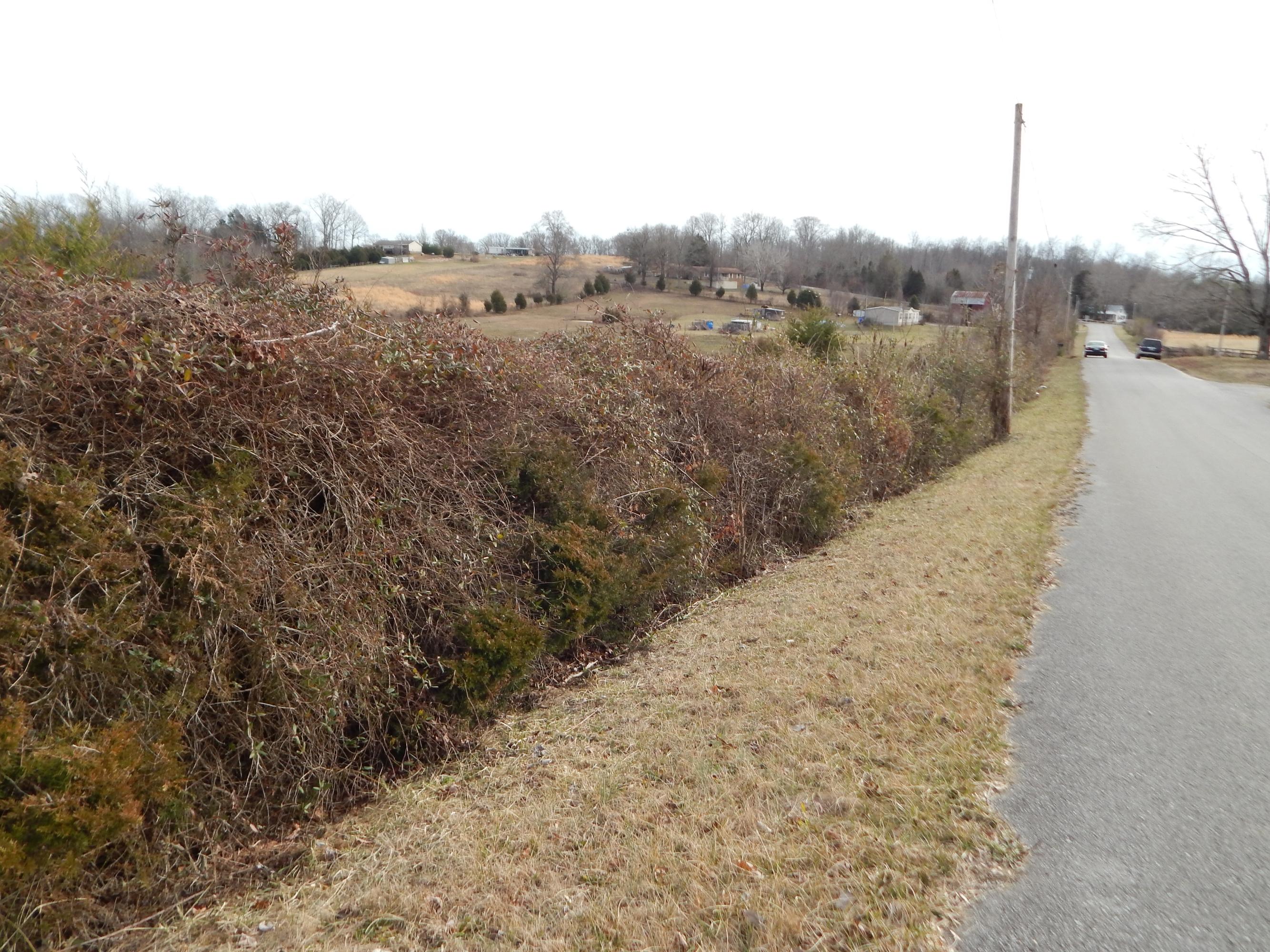 Toy Slatten Road Sparta, TN 38583 - Photo 10 of 10 ROAD FRONTAGE