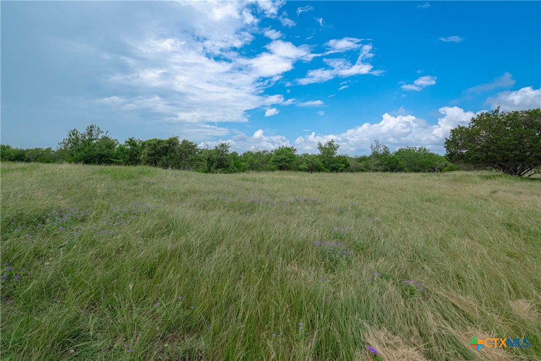 1919 Wetz Road Marion, TX 78124 - Photo 42 of 48