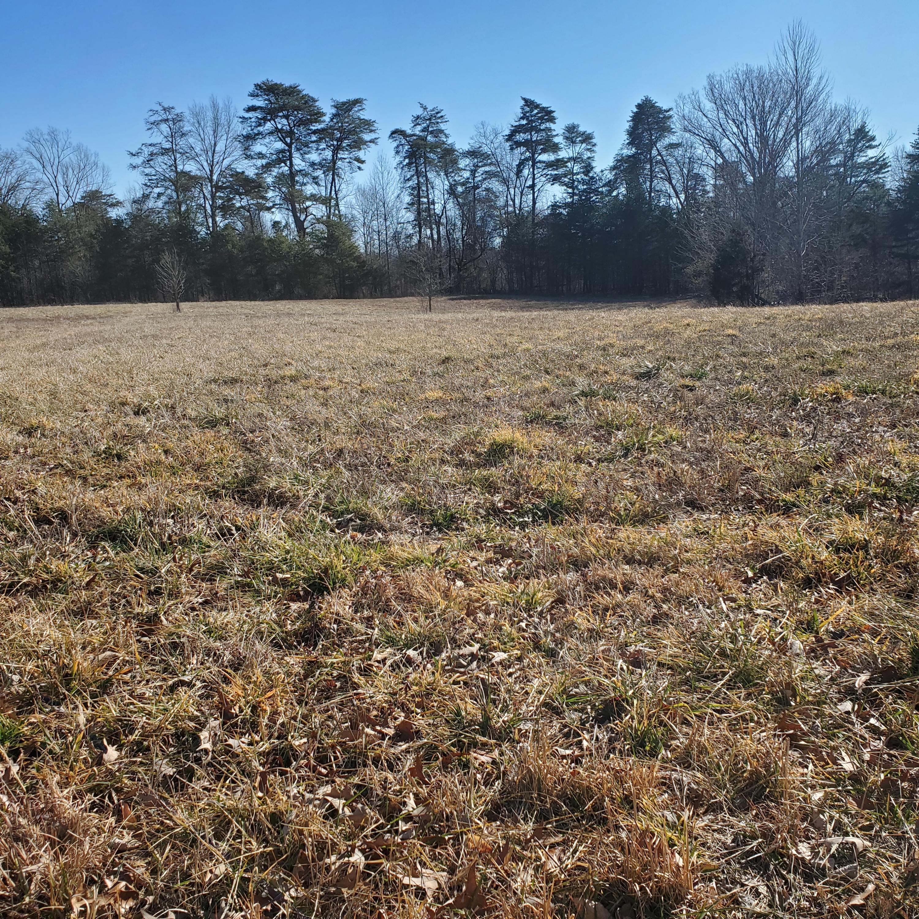 0 Flanagan Road Jamestown, KY 42629 - Photo 4 of 10 20210122_124132