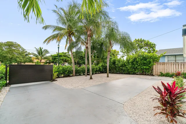 a backyard of a house with lots of plants and large tree