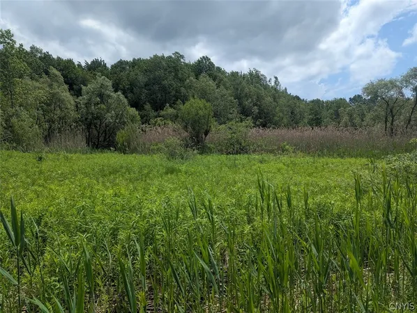 $54,900 | 0 Tannery Road, Rome, NY 13440