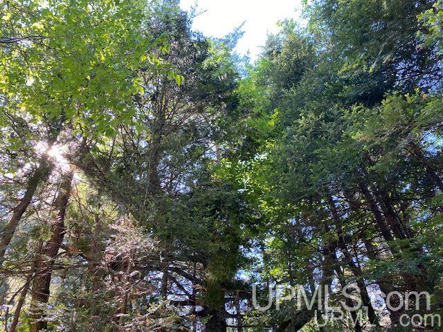 3980 County Road 476 Ishpeming, MI 49849 - Photo 34 of 37