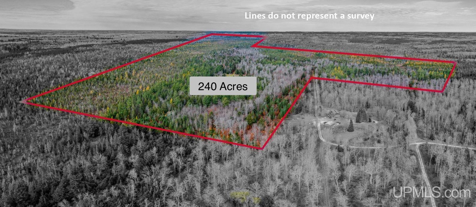 240-acres Long Lake Road Wetmore, MI 49895 - Photo 2 of 39