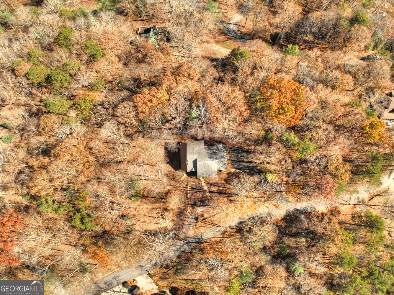 122 D D J Lane Ellijay, GA 30540 - Photo 51 of 51 a picture of a tree