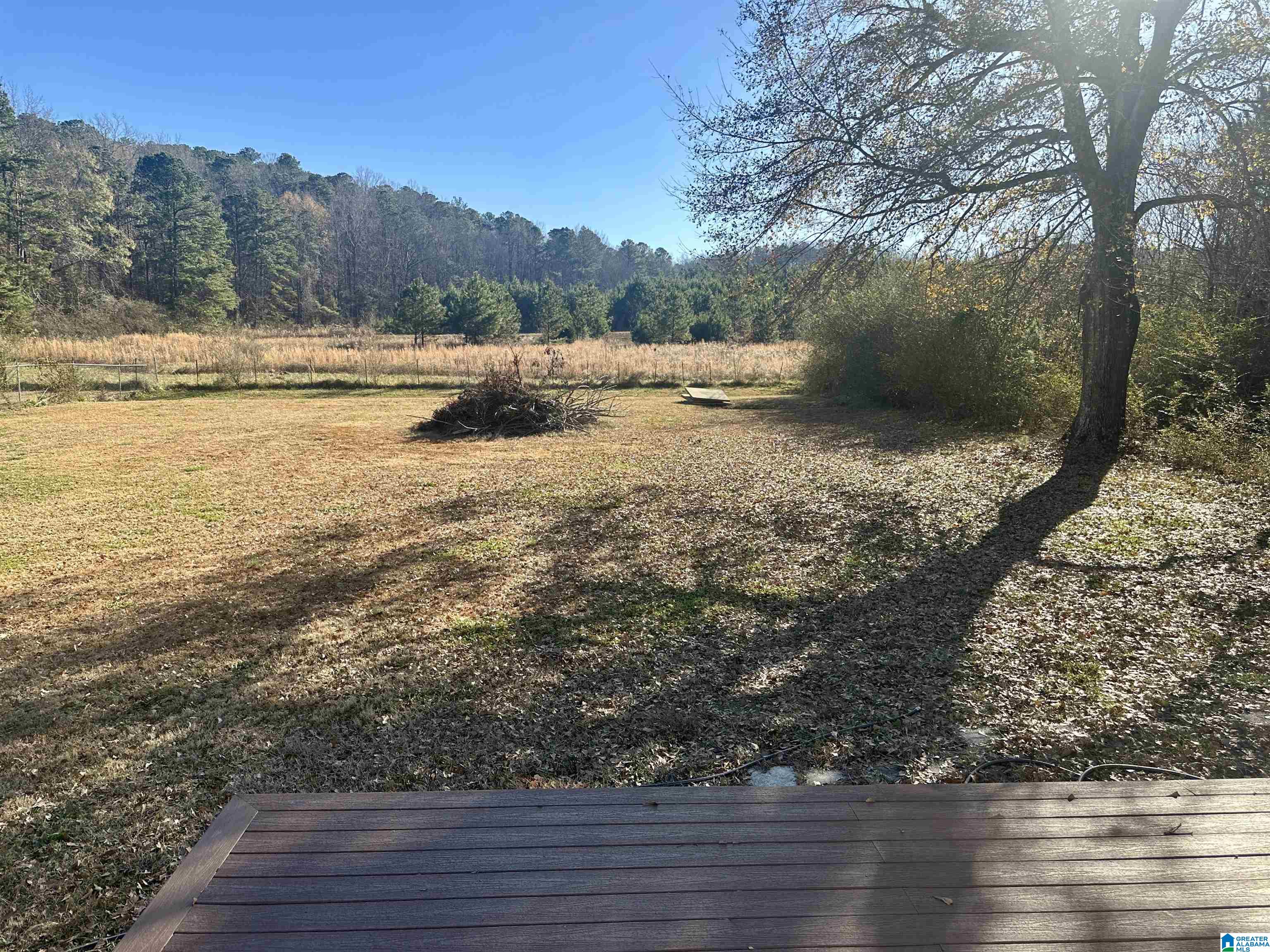 1254 McIntosh Road Oxford, AL 36203 - Photo 34 of 37
