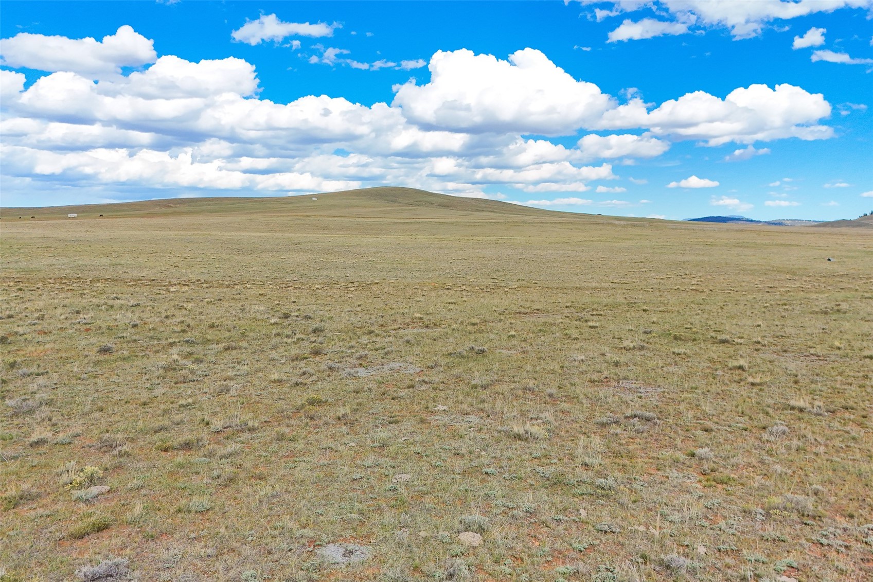 0 Bare Trail Hartsel, CO 80449 - Photo 11 of 21