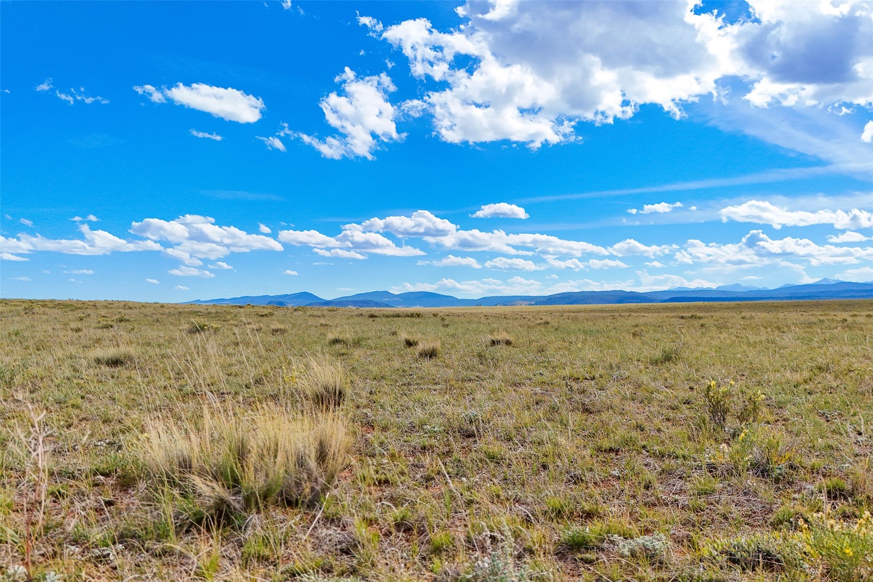 0 Bare Trail Hartsel, CO 80449 - Photo 16 of 21 a view of an ocean