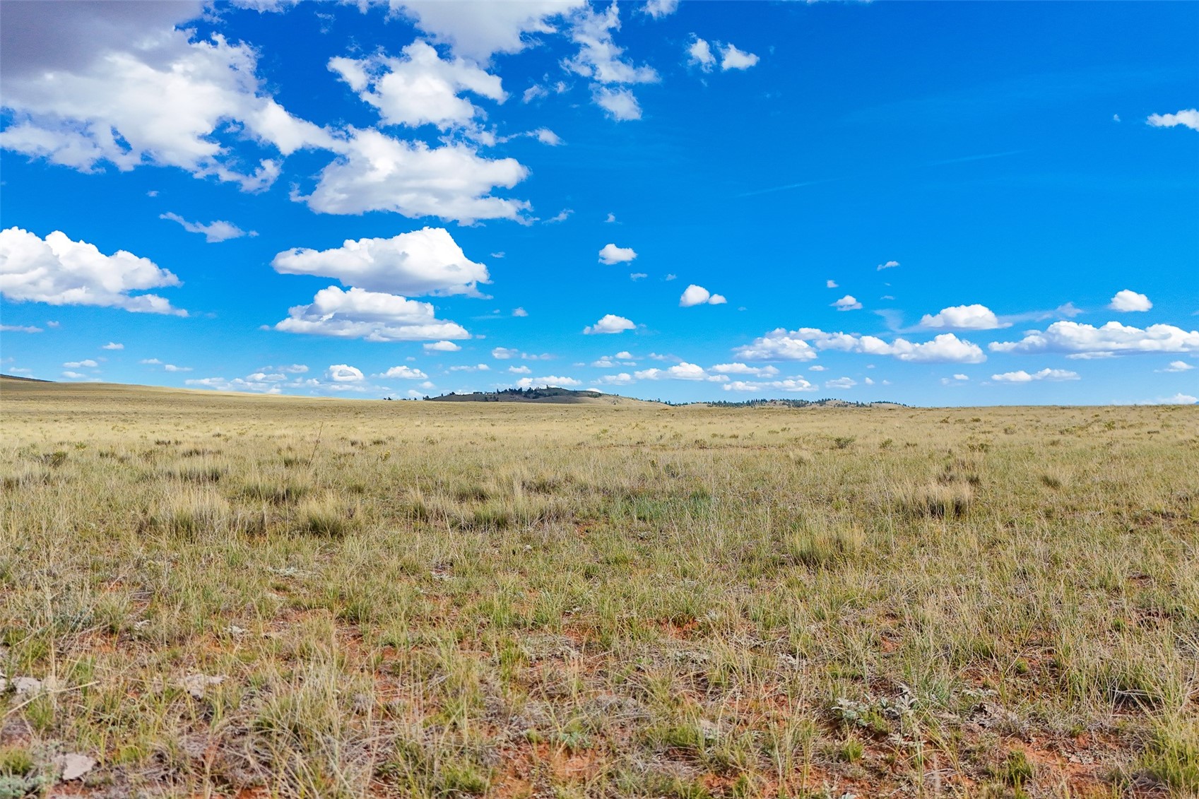 0 Bare Trail Hartsel, CO 80449 - Photo 17 of 21 a view of yard with outdoor space