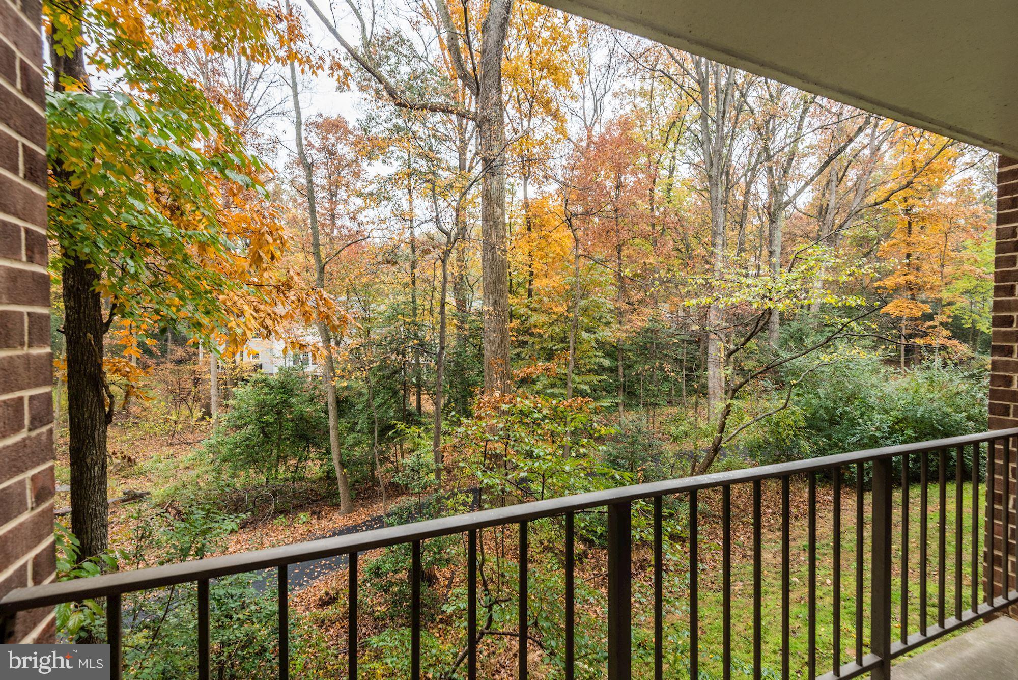 1538 Northgate Square, Unit 1A Reston, VA 20190 - Photo 17 of 18 a view of trees and trees from a balcony