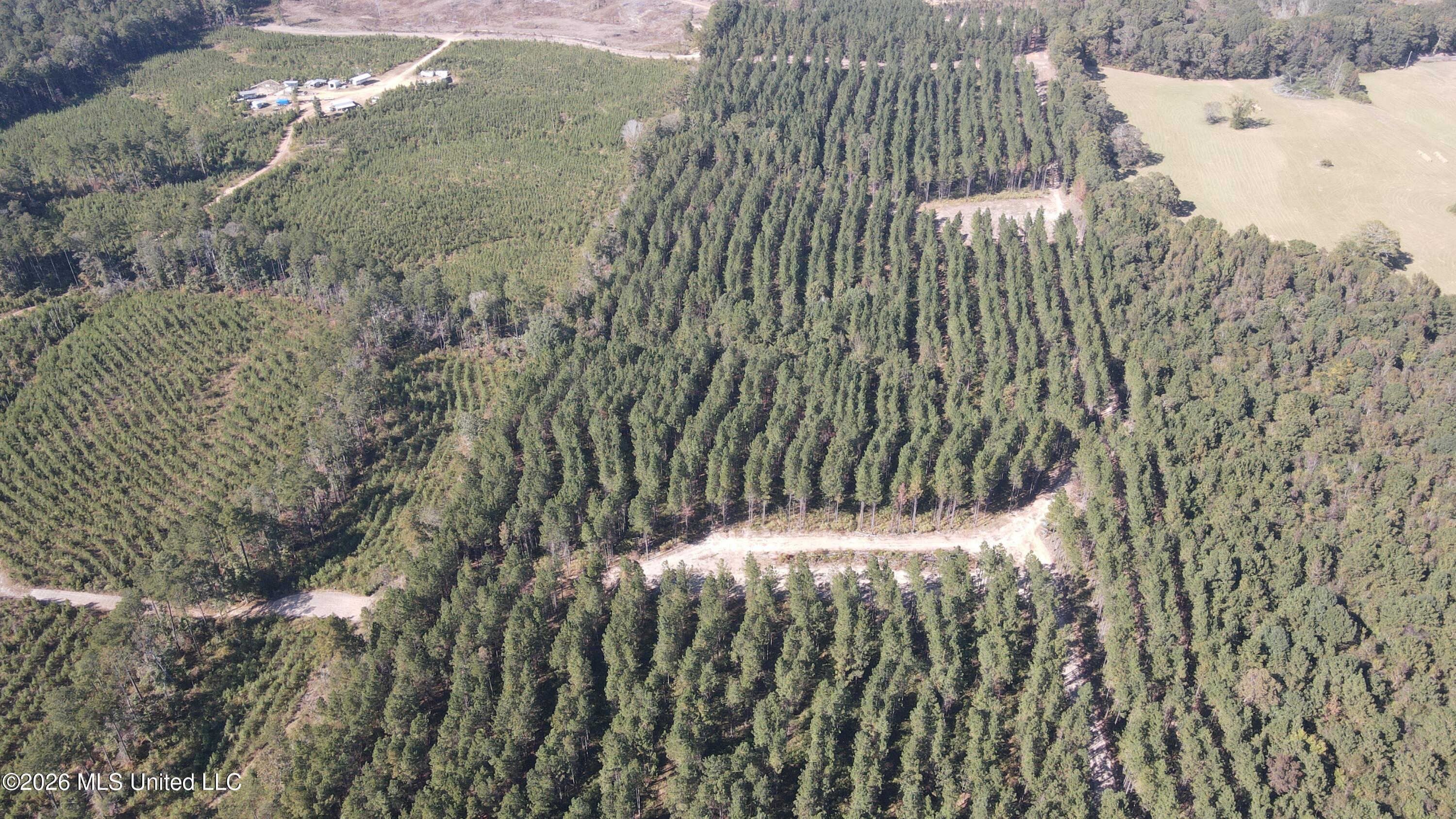 Loyd Irby Road Pelahatchie, MS 39145 - Photo 26 of 30 DJI_0210