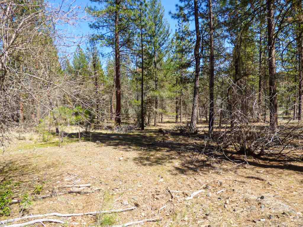 0 Culp Way Fort Jones, CA 96032 - Photo 6 of 8 Gallery Image 6
