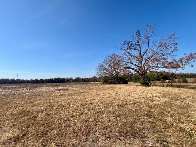 Undisclosed Address Headland, AL 36345 - Photo 17 of 36
