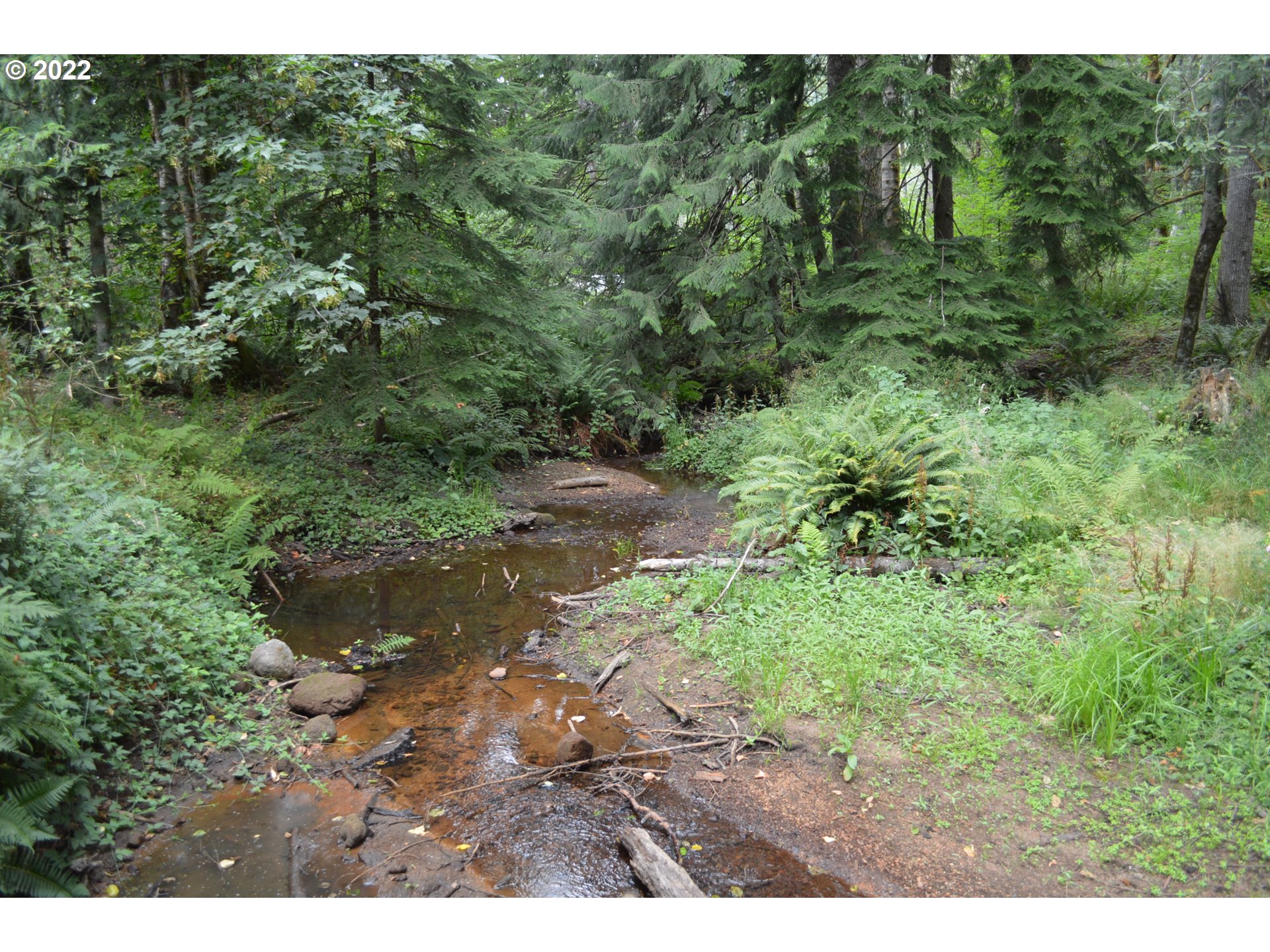 67193 East Barlow Trail Road Rhododendron, OR 97049 - Photo 6 of 19 a view of a forest with a street