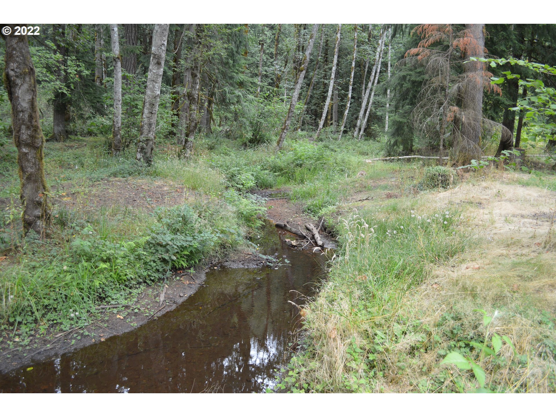 67193 East Barlow Trail Road Rhododendron, OR 97049 - Photo 7 of 19 a view of backyard with green space